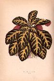 jsmitharts_030406002005.jpg