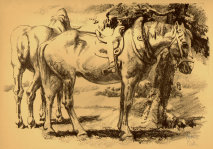 jsmitharts_030406164003.jpg
