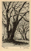 jsmitharts_030406189003.jpg