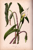 jsmitharts_030406292004.jpg