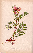 jsmitharts_030406292005.jpg