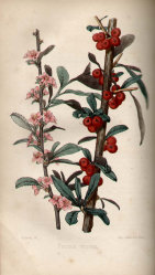 jsmitharts_030406304003.jpg