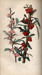 jsmitharts_030406308003.jpg