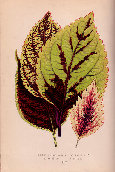 jsmitharts_030406308004.jpg