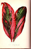 jsmitharts_030406308005.jpg
